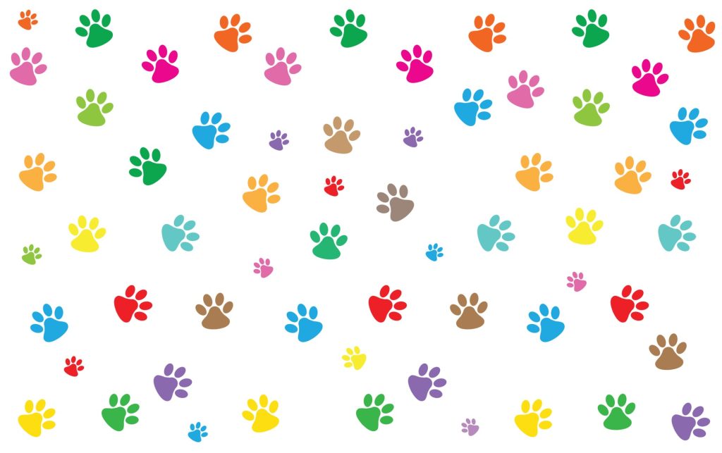 notre motif pattoune